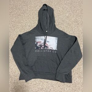 Hollister hoodie. Color Grey with print on front, Size Large.